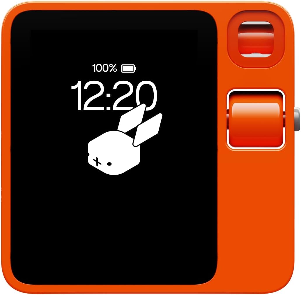 Rabbit r1